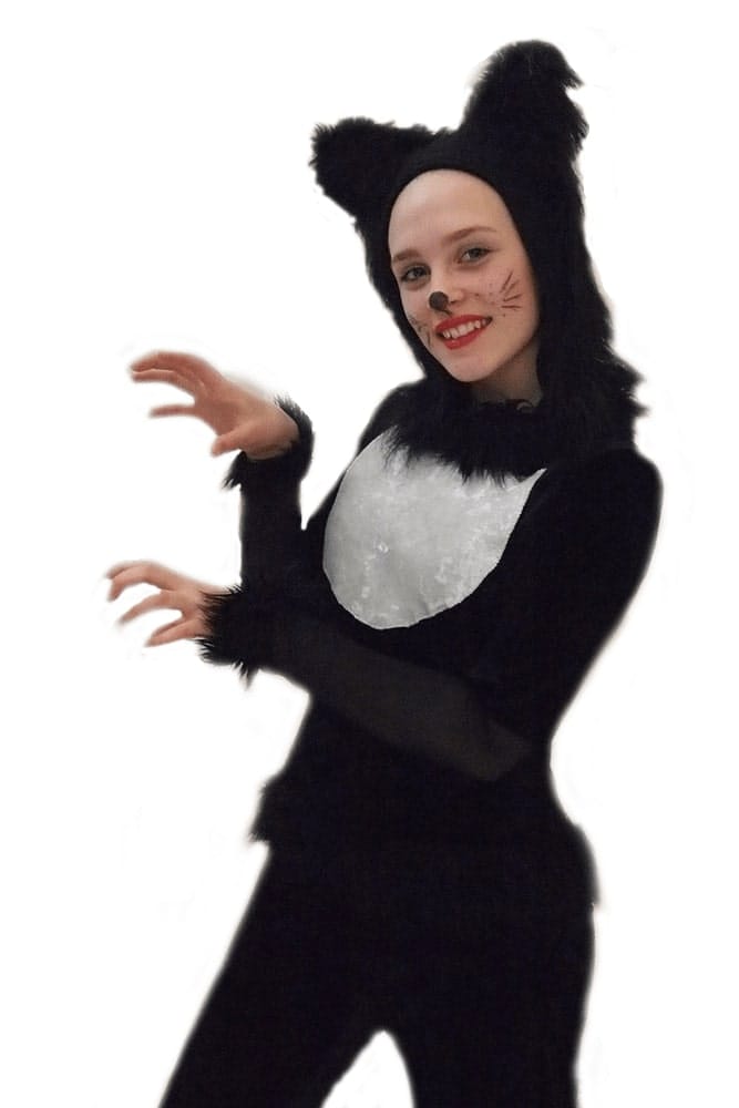 Коты и Кошечки