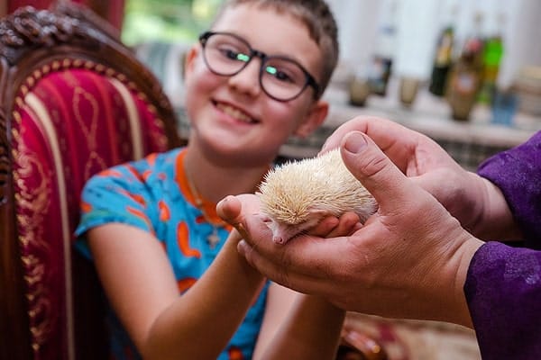 Фокусник с животными на день рождения девочки 5 лет — фото 24
