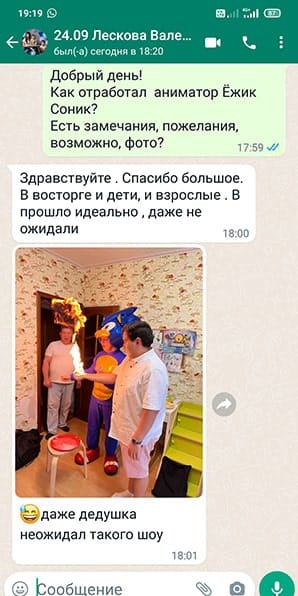 Отзыв на аниматора Ежик Соник с химическим шоу на день рождения мальчика 24/09/2022