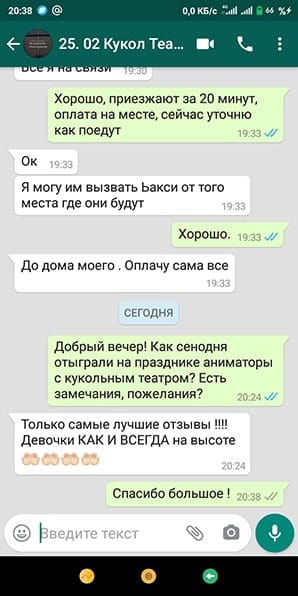 Отзыв Аниматоры с кукольным театром для малышей 25/01/2021