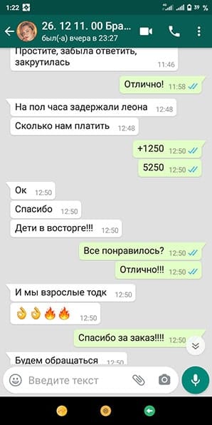Отзыв аниматор Леон Бравл Старз на день рождения 26/12/2020