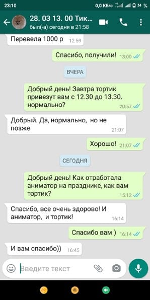 Отзыв аниматор Тик Ток вечеринка 13 лет 28/03/2021