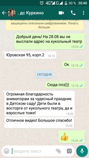 Кукольный театр в детском саду с видеосъемкой